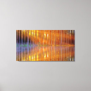Pretty Woodland Sunset Golden Reflection Geometric Canvas Print