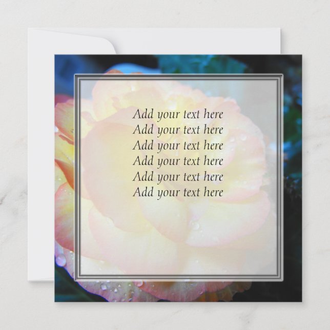 pretty yellow begonia flower (Front)