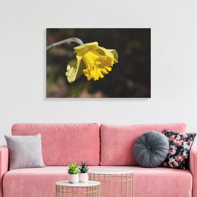 Pretty Yellow Daffodil Flower 24.00" x 16.00" Canvas Print (Insitu(LivingRoom))