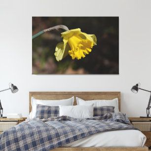 Pretty Yellow Daffodil Flower 48.00" x 32.00" Canvas Print