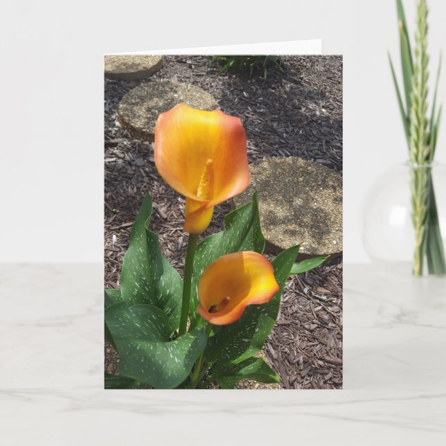 Pretty Yellow Floral Blank Card (Front)
