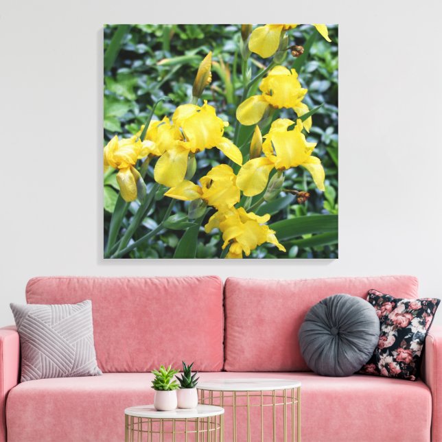 Pretty Yellow Iris Flower Garden Canvas (Insitu(LivingRoom))