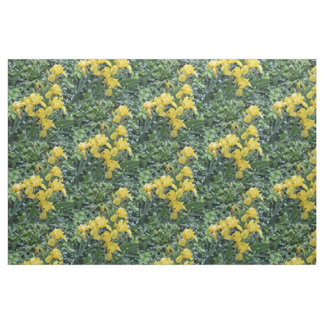 Pretty Yellow Irises Garden Flowers Fabric (Fat Quarter)