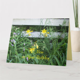 Pretty Yellow Lilies by Fence For her Birthday Card