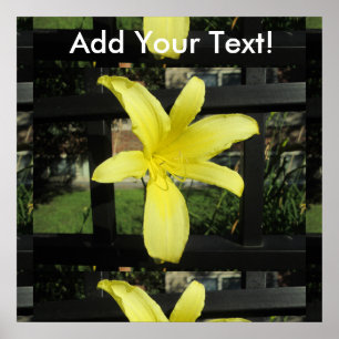 Pretty Yellow Lily Flower Poster