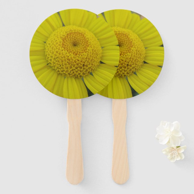 Pretty yellow marguerite hand fan (Front and Back)