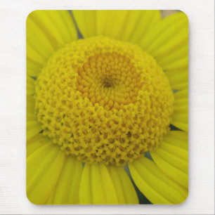 Pretty yellow marguerite mouse pad