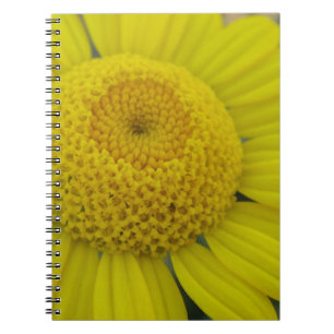 Pretty yellow marguerite notebook