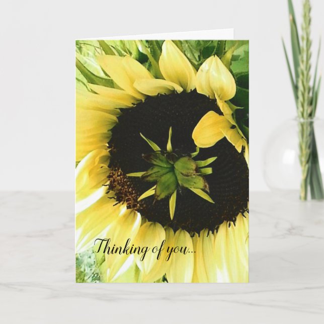 Pretty Yellow Sunflower Get Well Card (Front)