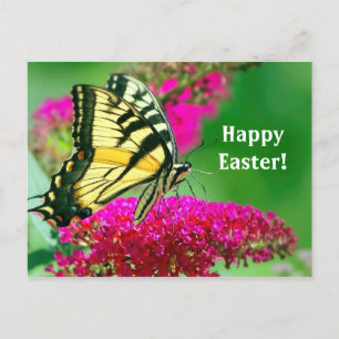 Pretty Yellow Swallowtail Butterfly Floral Easter Postcard