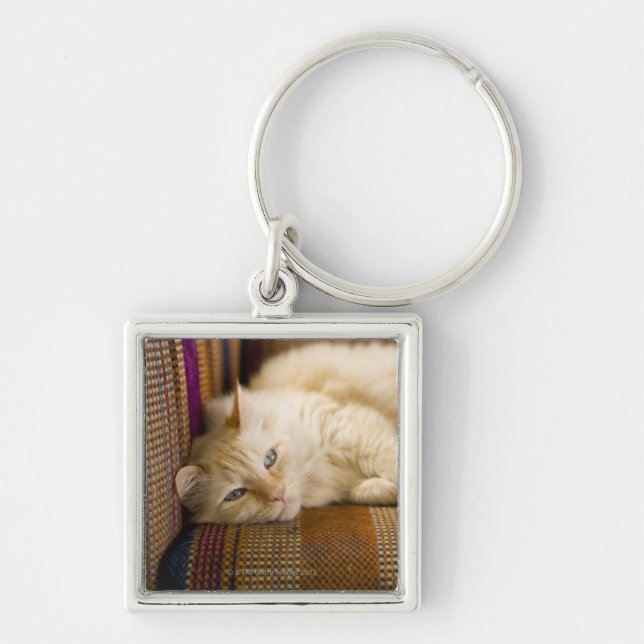 Pretty yellow tabi cat laying on couch. keychain (Front)