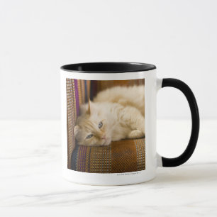 Pretty yellow tabi cat laying on couch. mug