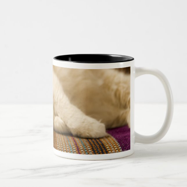 Pretty yellow tabi cat laying on couch. Two-Tone coffee mug (Right)