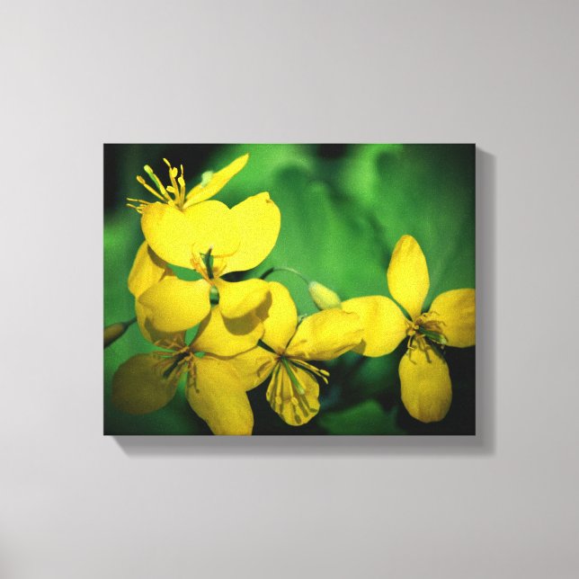 Pretty Yellow Wildflowers Canvas Print (Front)