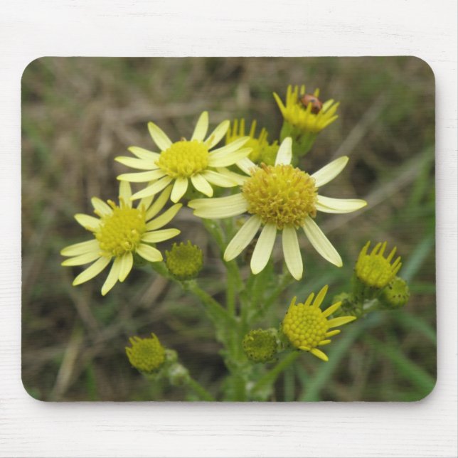 Pretty Yellow Wildflowers Mousepad (Front)