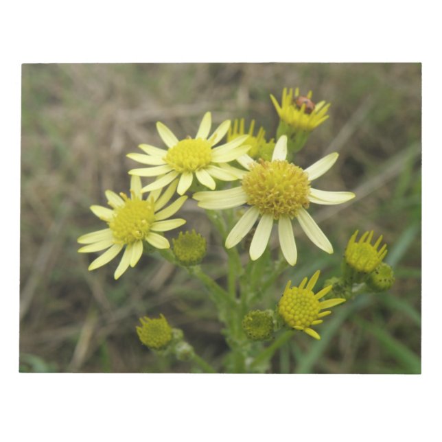 Pretty Yellow Wildflowers Notepad (Front)