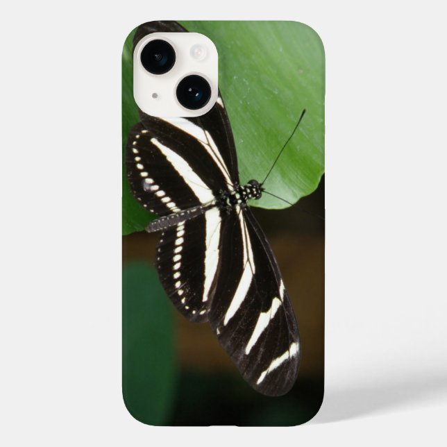 Pretty Zebra Longwing Butterfly Case-Mate iPhone Case (Back)