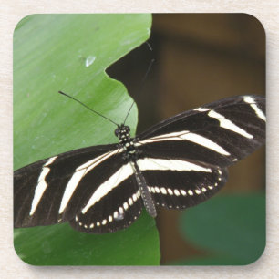 Pretty Zebra Longwing Butterfly Cork Coaster