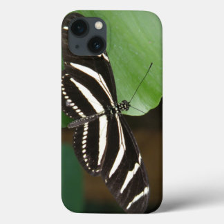 Pretty Zebra Longwing Butterfly iPad Case