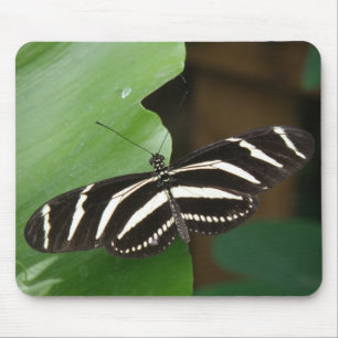 Pretty Zebra Longwing Butterfly Mousepad