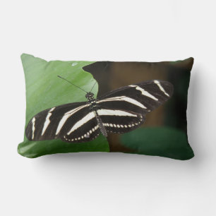 Pretty Zebra Longwing Butterfly Pillow