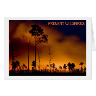 Prevent Wildfire