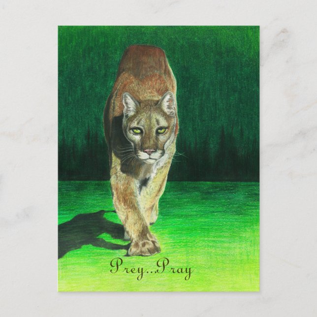 Prey...Pray Cougar Big Cat Postcard (Front)