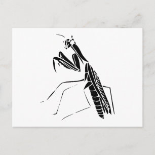 Preying Mantis Silhouette Postcard