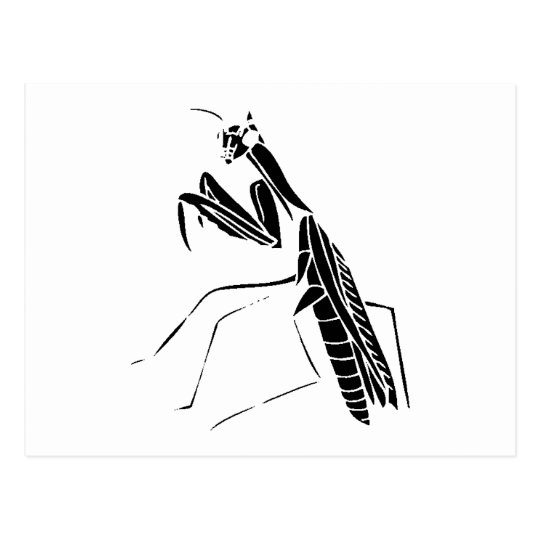 Preying Mantis Silhouette Postcard