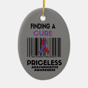 Priceless...Arachnoiditis Ceramic Ornament