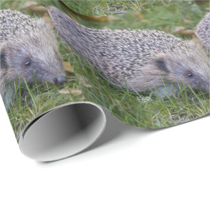 Prickles- European Hedgehog Wrapping Paper