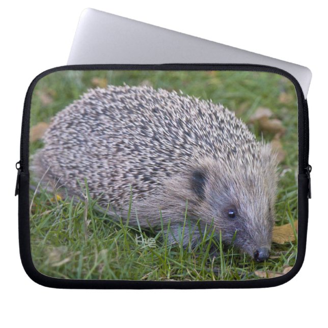 Prickles Laptop Sleeve (Front)