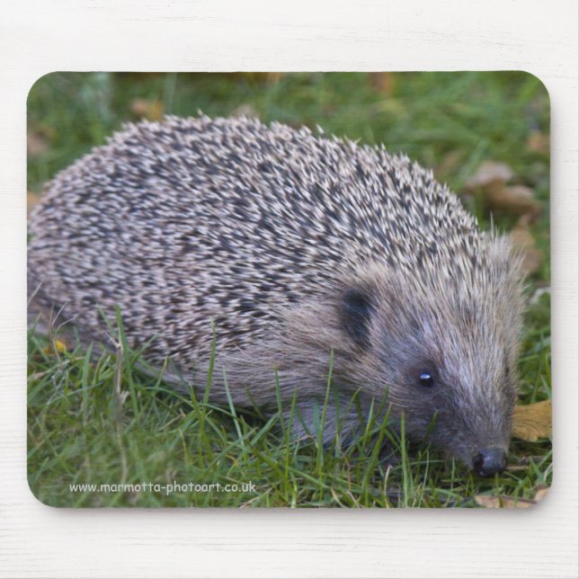 Prickles Mousemat Mouse Pad (Front)