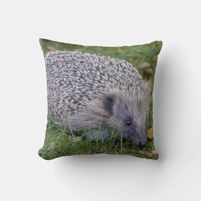 Prickles Pillow (Front)