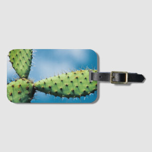 Prickley Cactus Luggage Tag