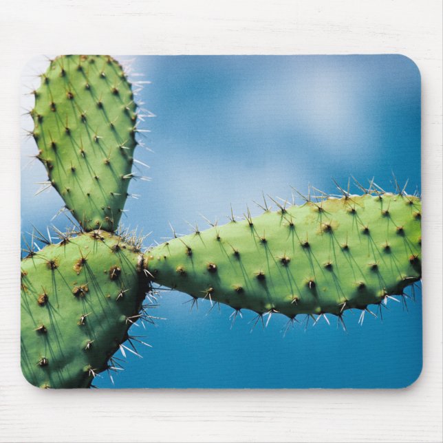 Prickley Cactus Mouse Pad (Front)