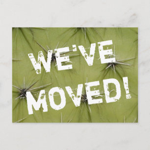 Prickley cactus moving postcards