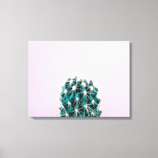 Prickley Cactus on Pink Canvas Print (Front)