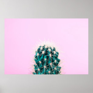 Prickley Cactus on Pink Poster