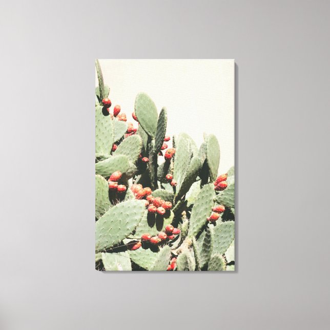 Prickley Pear Cactus Canvas Print (Front)