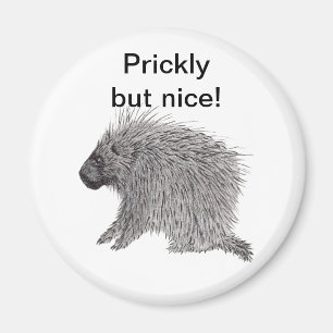 Prickly but Nice Porcupine Magnet
