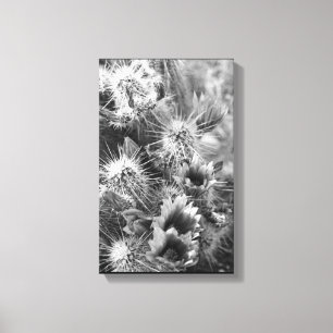 Prickly Cactus Flowers Desert B&W Photo Art Prints