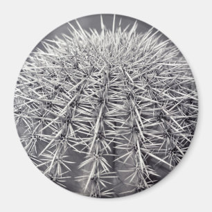 Prickly Cactus Sonoran Desert Refrigerator Magnet