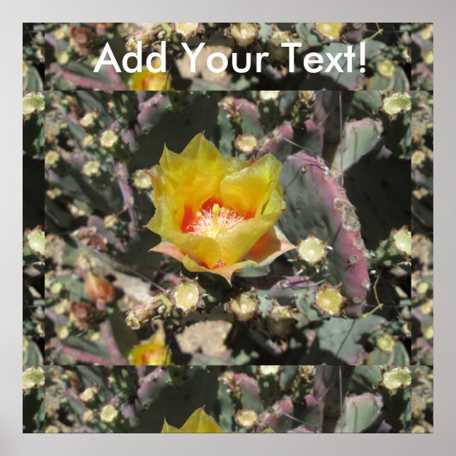 Prickly Pear Black Spined Poster (Front)