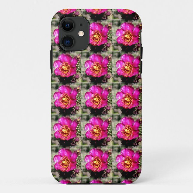 prickly pear blossom case (Back)
