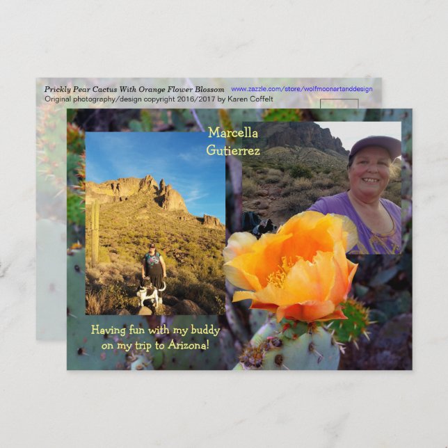Prickly Pear Cactus Flower / Orange / Arizona USA Postcard (Front/Back)