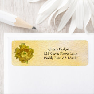 Prickly Pear Cactus Flower / Yellow /