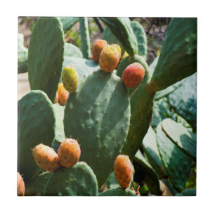 Prickly Pear Cactus Fruit Tile