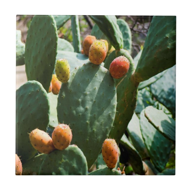 Prickly Pear Cactus Fruit Tile (Front)