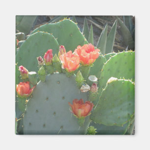 Prickly Pear Cactus Green Red Bloom Magnet